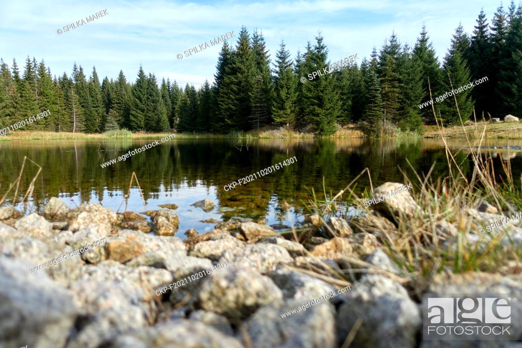 Stock Photo: The lake Cerna Smeda in the Jizera Mountains (CTK Photo/Marek Spilka).