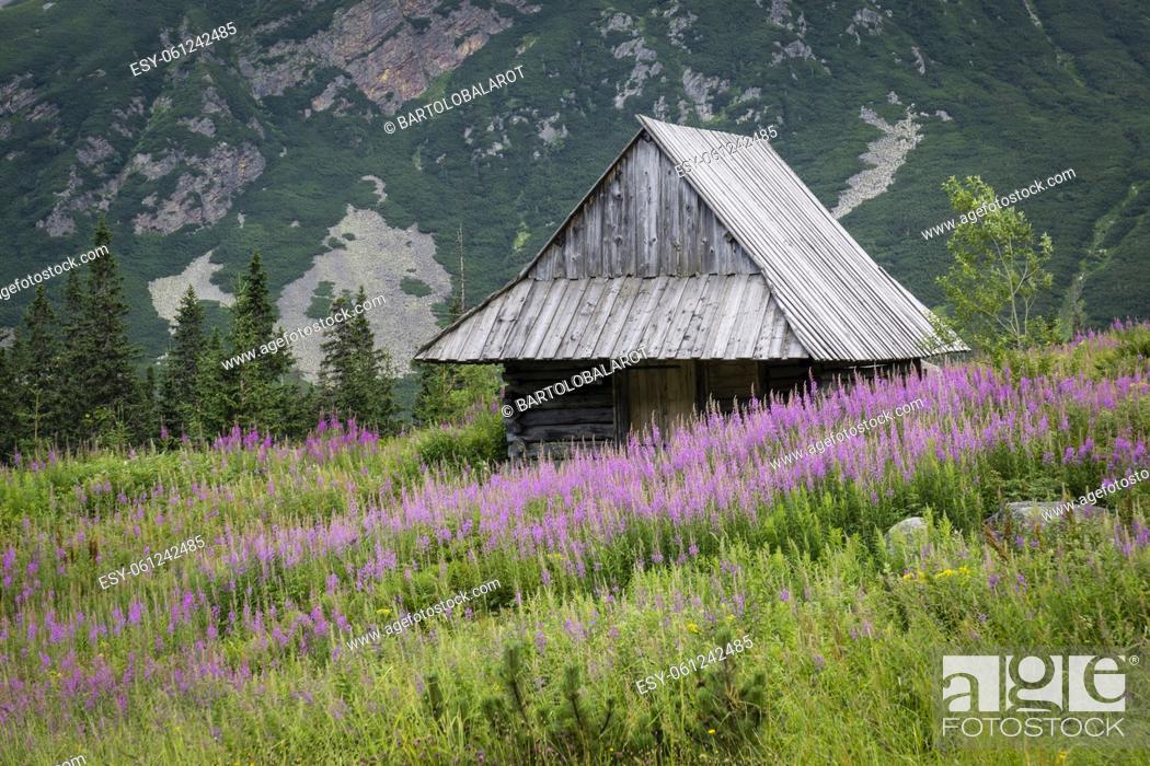 Stock Photo: hut, Gasienicowa Valley , Tatra National Park, Lesser Poland Voivodeship, Carpathians, Poland, Europe.