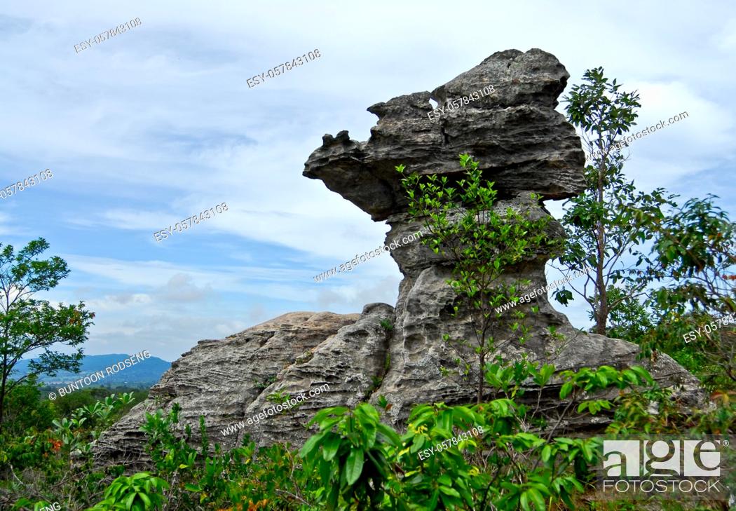Stock Photo: Cup shaped stone. The Pa Hin Ngam National Park in Chaiyaphum, Thailand.