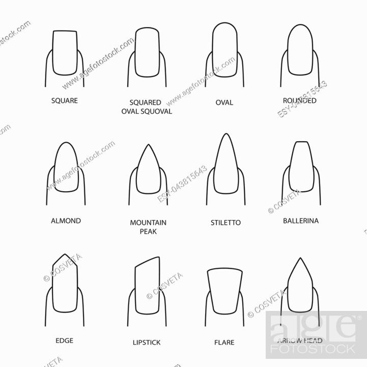 Set of different shapes of nails on white. Nail shape icons, Stock Vector,  Vector And Low Budget Royalty Free Image. Pic. ESY-043815643 | agefotostock