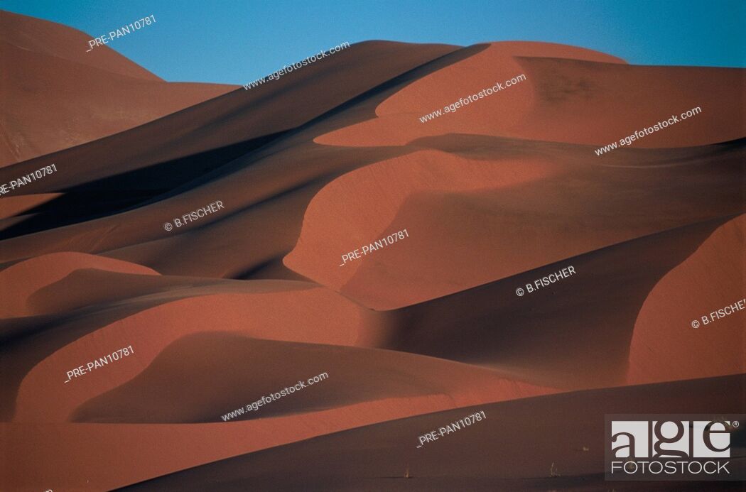 Stock Photo: Namibia Namib Wüste Düne Naukluft NP Sossous Vlei.