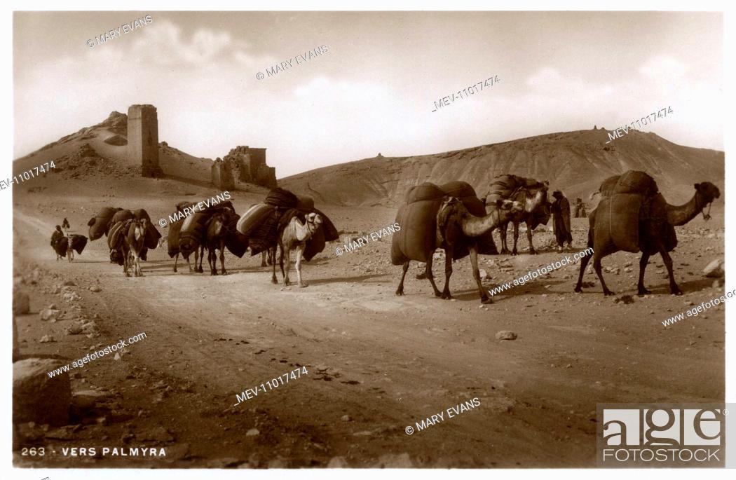 Stock Photo: Camel Caravan close to Palmyra, Homs Governate, Syria. Dating back to the Neolithic, Palmyra was first attested in the early second millennium BC as a caravan.