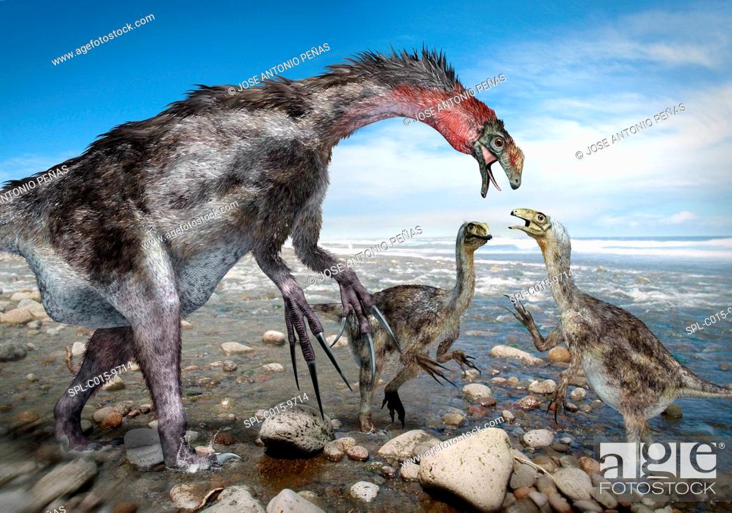 Stock Photo: Nothronychus dinosaur family, artwork. This theropod dinosaur, found in what is now North America some 91 million years ago, lived during the Cretaceous.
