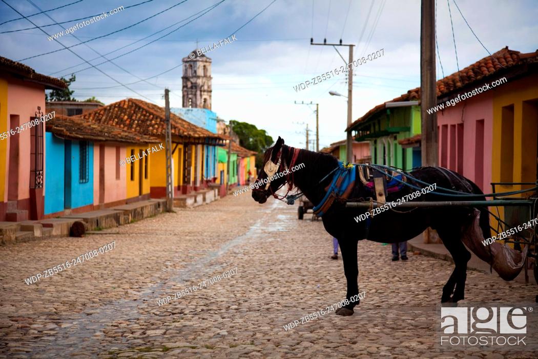 Stock Photo: Horse and cart in a colourful street in Trinidad, Cuba.