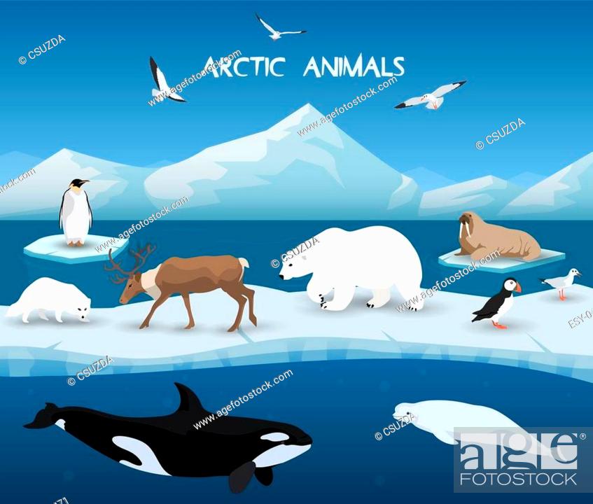 Collection of arctic animals in a background of arctic scenery, Stock  Vector, Vector And Low Budget Royalty Free Image. Pic. ESY-045697471 |  agefotostock