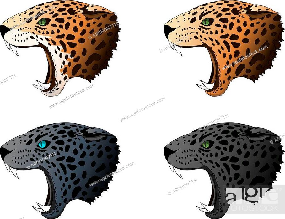 Vector angry panther, leopard, cougar portrait set. Jaguar blue saphire  eyes predator heads colorful..., Stock Vector, Vector And Low Budget  Royalty Free Image. Pic. ESY-058766502 | agefotostock