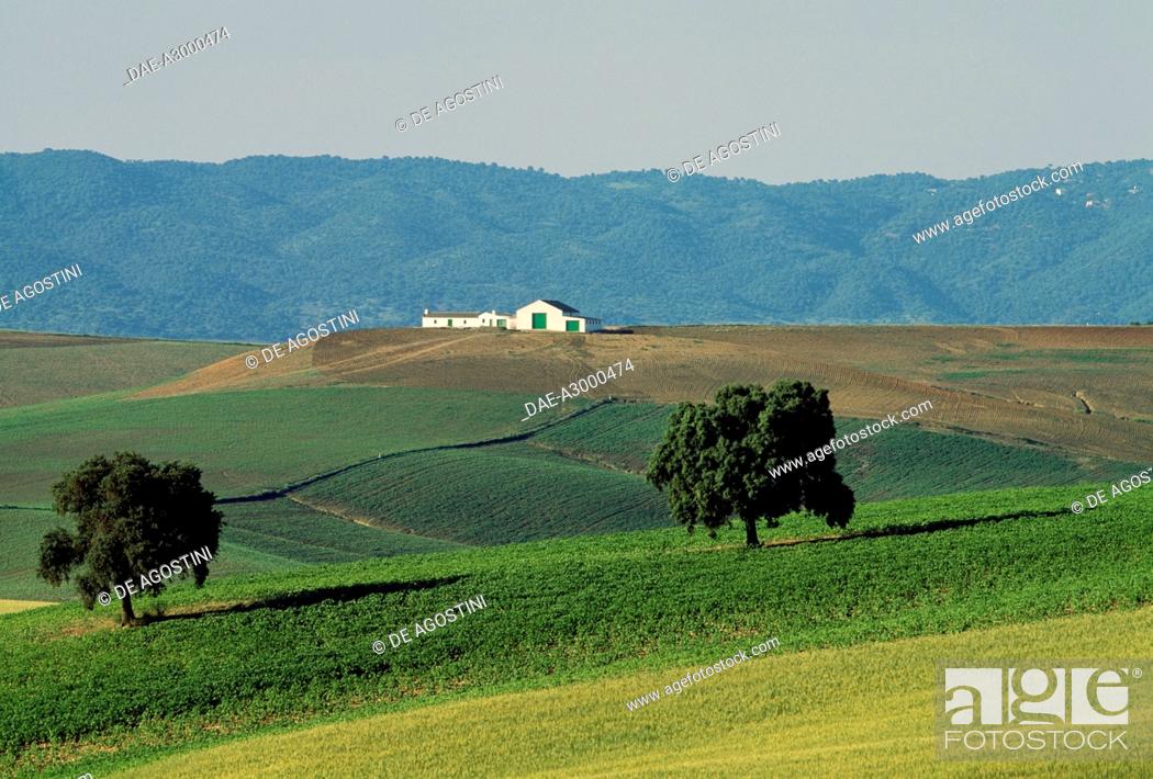 Imagen: A farmhouse in the cultivated landscape of Almodovar del Rio, Andalusia, Spain.