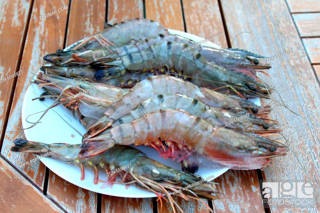 Stock Photo: Fresh Shrimp on the white plate. Close up.