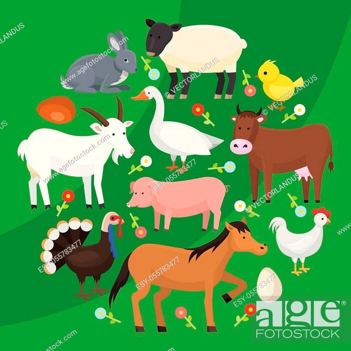 Set of farm domestic animals round pattern vector illustration, Stock  Vector, Vector And Low Budget Royalty Free Image. Pic. ESY-055783477 |  agefotostock