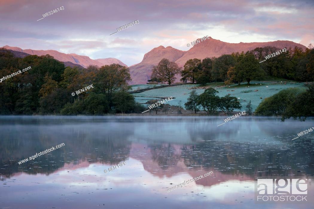 Stock Photo: Langdale Pikes at dawn from Loughrigg Tarn, Lake District National Park, UNESCO World Heritage Site, Cumbria, England, United Kingdom, Europe.