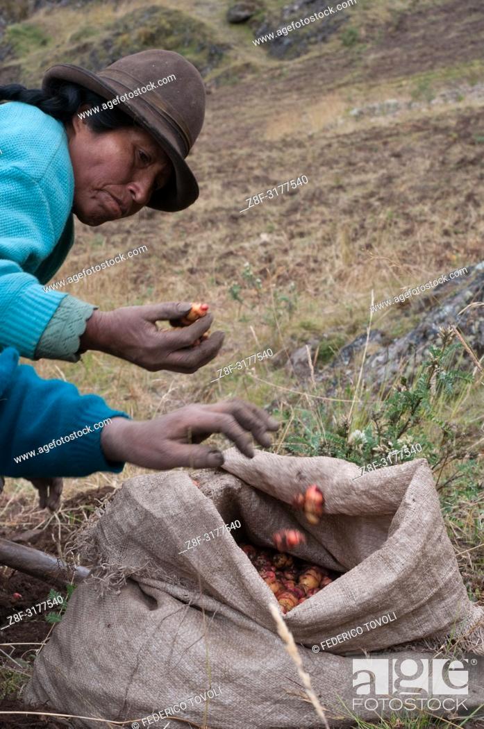 Imagen: On the heights of Pisac, between 3600 and 4500 meters above sea level, various ""comunidades Campesinas"" were incorporated into the Potato Park.