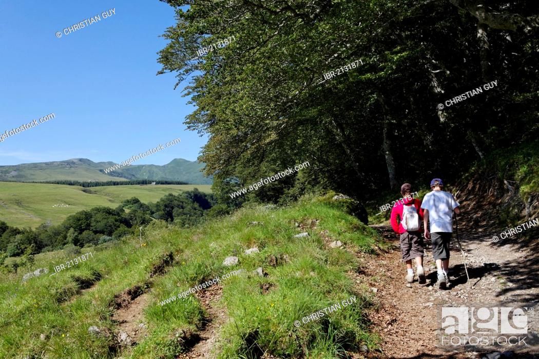 Stock Photo: Young hikers in Fontaine Salee reserve, Auvergne Volcanoes Natural Regional Park, massif of Sancy, Puy de Dome, Auvergne, France, Europe.