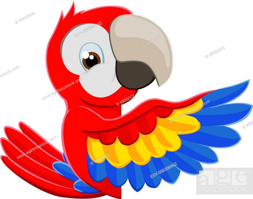 Cute cartoon parrot mascot peeking around a sign and pointing with a wing,  Stock Vector, Vector And Low Budget Royalty Free Image. Pic. ESY-056306962  | agefotostock
