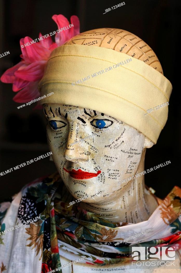 Stock Photo: Study bust for the basic truths of life as a decoration for a hat shop, Erlangen, Middle Franconia, Bavaria, Germany, Europe.