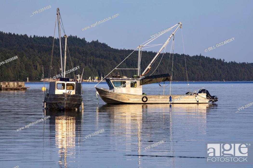 Stock Photo: Oyster Boats at Union Bay in Baynes Sound, Vancouver Island, British Columbia, Canada.