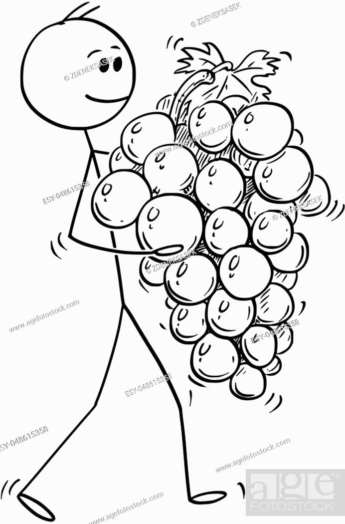 Cartoon stick man drawing conceptual illustration of man carrying big ripe  bunch of grapes fruit, Stock Vector, Vector And Low Budget Royalty Free  Image. Pic. ESY-048615358 | agefotostock