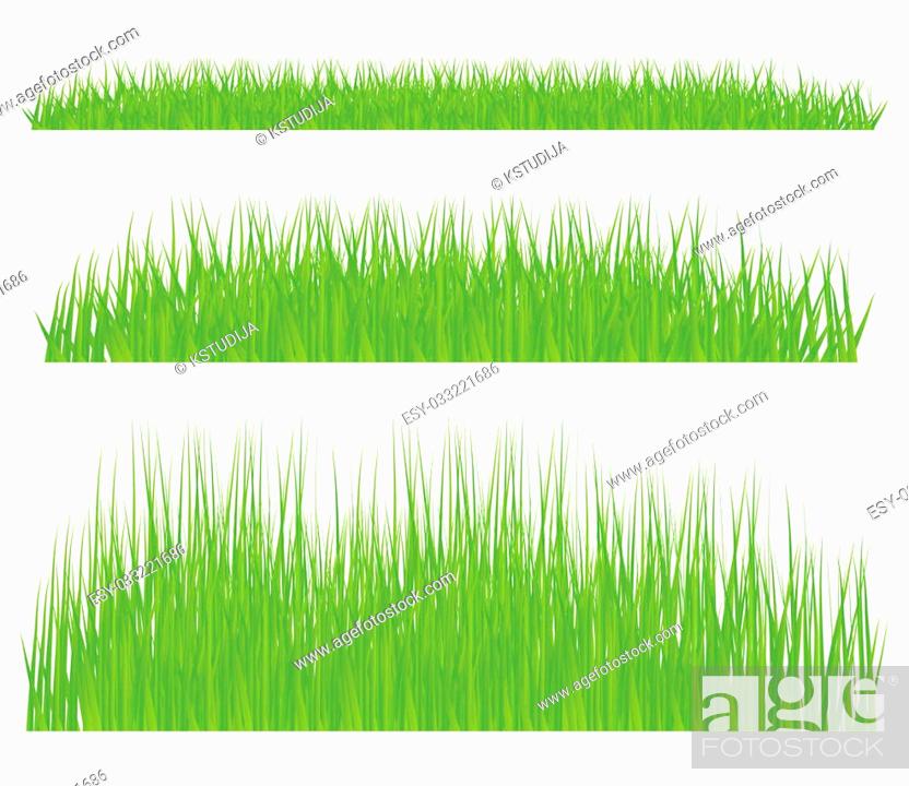 Green grass vector background for poster, Stock Vector, Vector And Low  Budget Royalty Free Image. Pic. ESY-033221686 | agefotostock