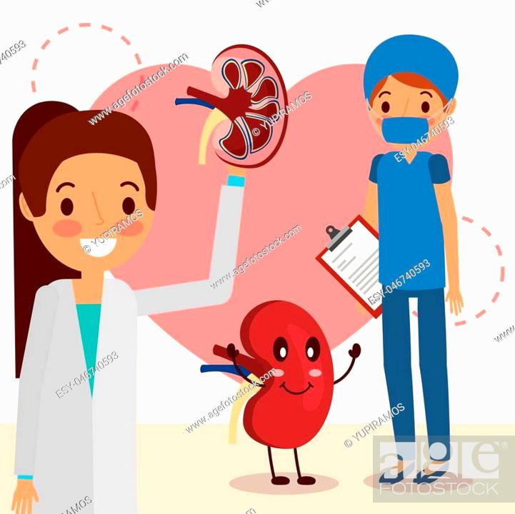female doctor and surgeon kidney cartoon vector illustration, Stock Vector,  Vector And Low Budget Royalty Free Image. Pic. ESY-046740593 | agefotostock