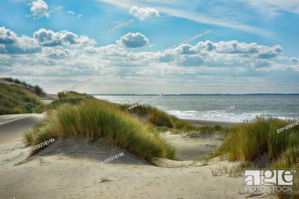 Stock Photo: Duenenlandschaft und Strand an der hollaendischen Nordseekueste im suedlichen Teil von Holland.