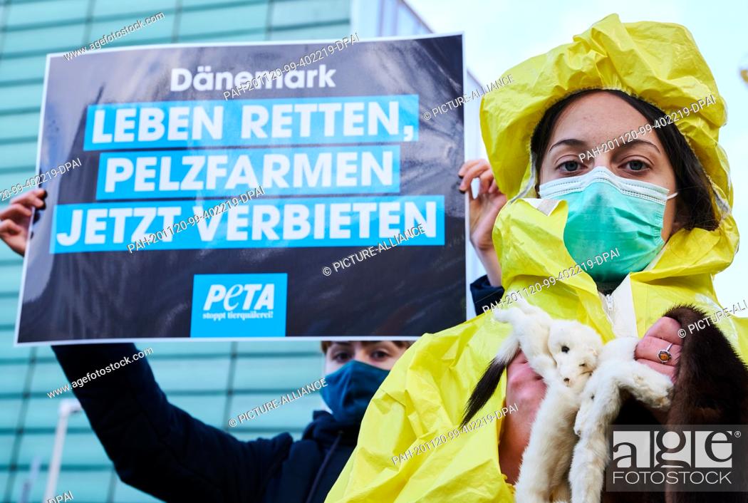 Photo de stock: 20 November 2020, Berlin: ""Save lives, ban fur farming now"" is written on a sign showing a demonstrator outside the Danish embassy.