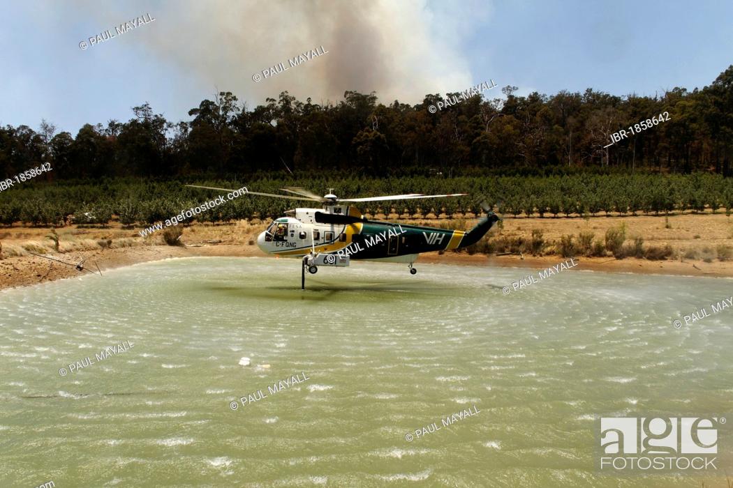 Stock Photo: Fire fighting helicopter drawing water from dam, Southwest Australia.