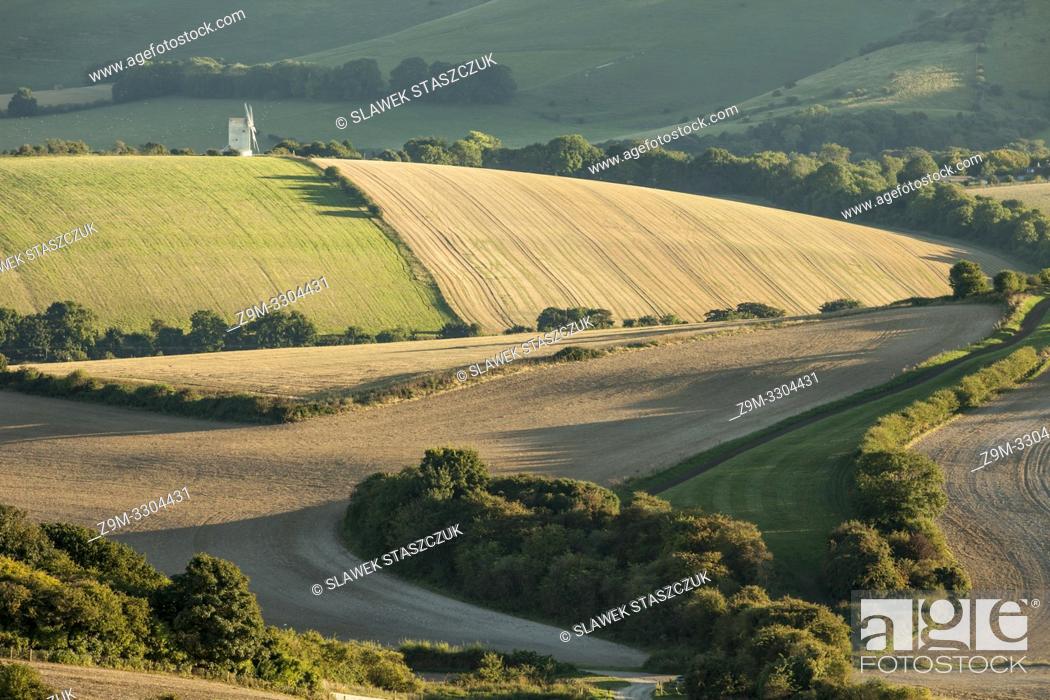 Stock Photo: Summer evening in South Downs National Park, East Sussex, England.
