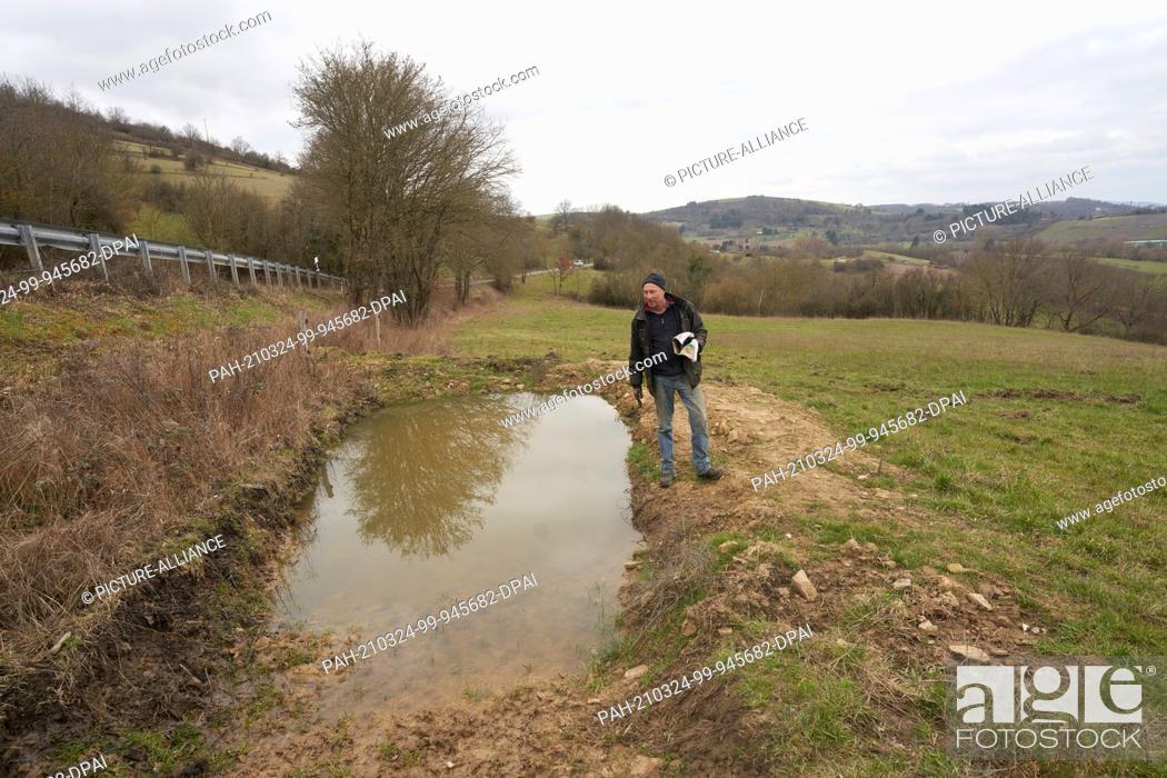 Stock Photo: 22 March 2021, Rhineland-Palatinate, Odernheim am Glan: Hans Pfeffer from the organic farm Bannmühle stands on one of his pastures next to a pond.