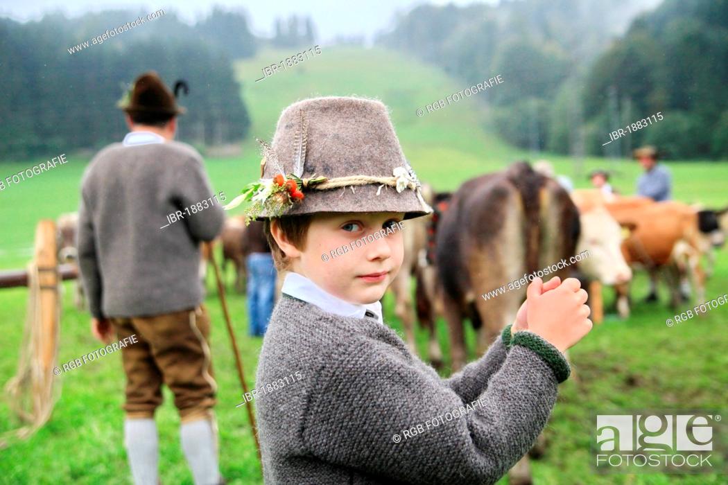 Stock Photo: Boy wearing traditional costume during Viehscheid, separating the cattle after their return from the Alps, Thalkirchdorf, Oberstaufen, Bavaria, Germany, Europe.