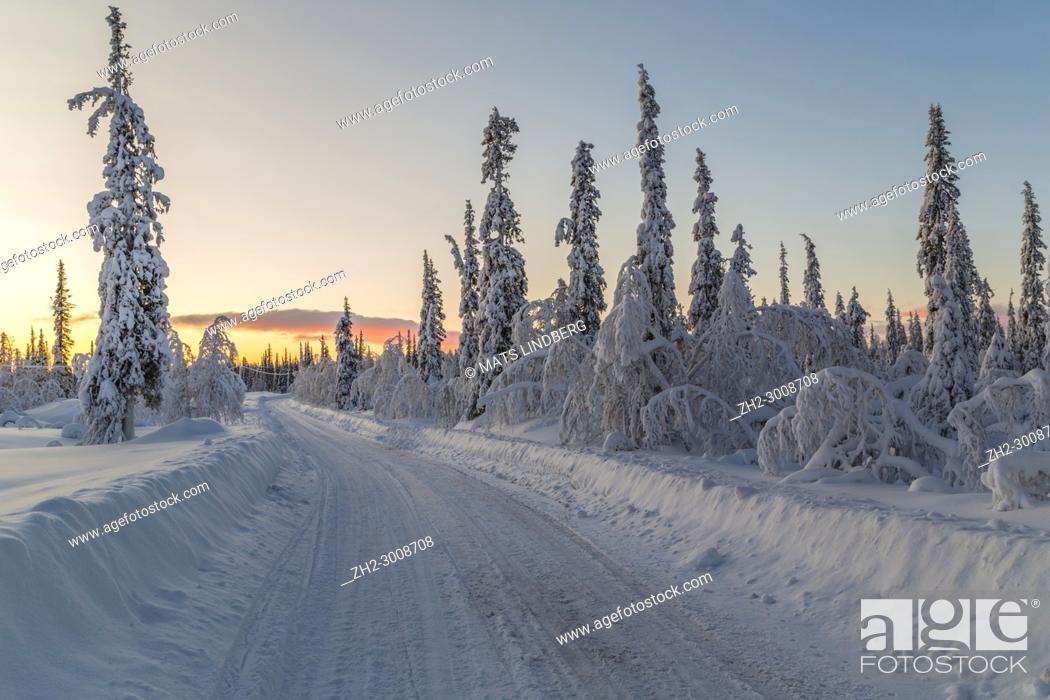 Imagen: Winter landscape with a road in the forest at sundown with snowy trees and nice colors in the sky, Gällivare, Swedish Lapland, Sweden.