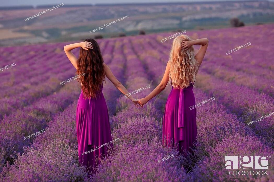 Carefree two women hold hands enjoying sunset in lavender field. Harmony,  Stock Photo, Picture And Low Budget Royalty Free Image. Pic. ESY-057852110  | agefotostock