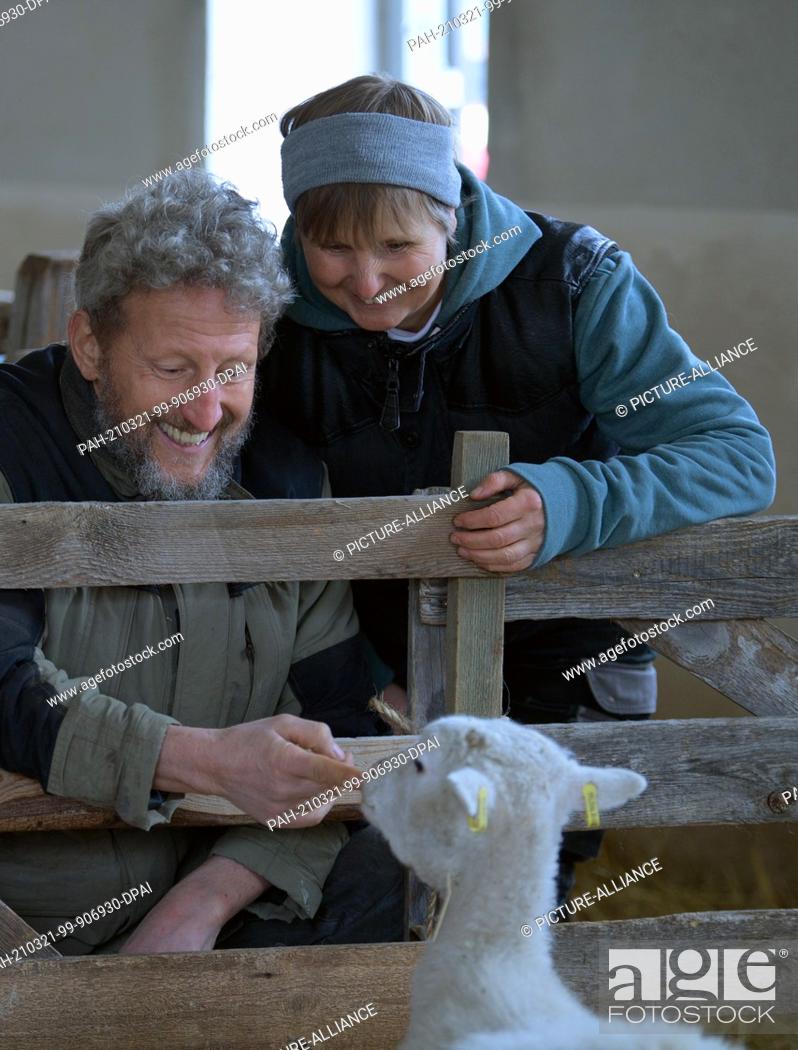 Imagen: 15 March 2021, Brandenburg, Roskow: Farmer Katja Behling and her husband Christoph (a trained shepherd) stroke a shorn ewe of the Skudden breed in the barn on.
