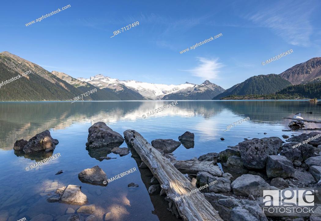 Stock Photo: Garibaldi Lake, tree trunks on the shore, mountains reflected in the turquoise glacial lake, Guard Mountain and Deception Peak, glacier in the back.