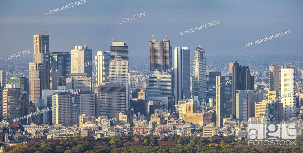 Stock Photo: Japan , Tokyo City, Meiji Park and Shinkuku Skyline.