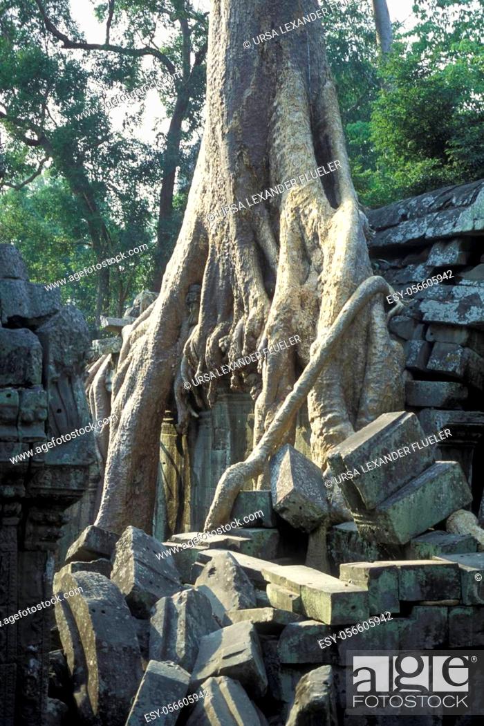 Photo de stock: The Temple of Preah Khan in the Temple City of Angkor near the City of Siem Reap in the west of Cambodia. Cambodia, Siem Reap, February, 2001.