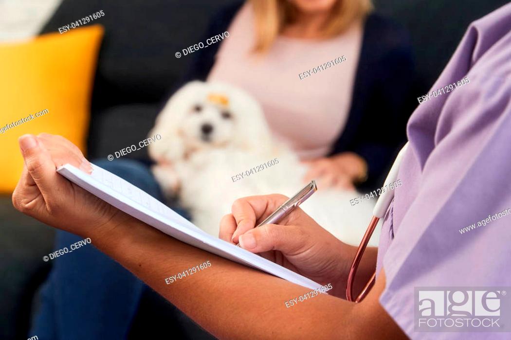 Young latina woman working as veterinary, vet talking to dog owner during  house call, Stock Photo, Picture And Low Budget Royalty Free Image. Pic.  ESY-041291605 | agefotostock