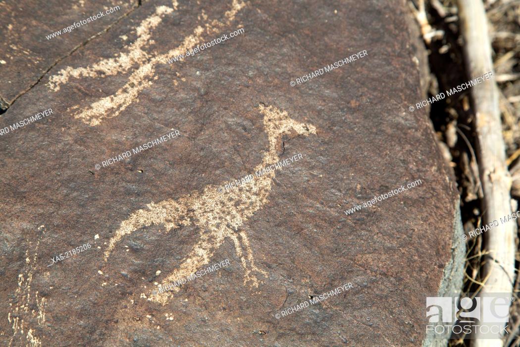 Stock Photo: USA, New Mexico, Bureau of Land Management, Three Rivers Petroglyph Site, rock carvings created by the Jornada Mogollon people during the 15th Century.