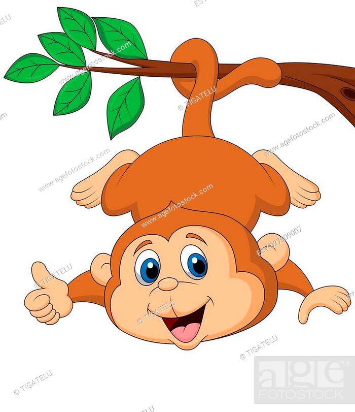 Vector illustration of Cute monkey cartoon hanging on a tree branch, Stock  Vector, Vector And Low Budget Royalty Free Image. Pic. ESY-037909007 |  agefotostock