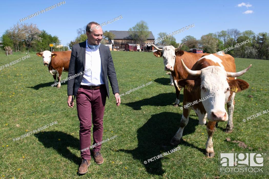 Stock Photo: 27 April 2020, Saxony, Nossen: Wolfram Günther (Bündnis90/Die Grünen), Minister of the Environment of Saxony, is standing on a pasture in front of the.