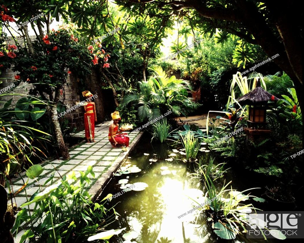 Balinese Garden. Bali, Indonesia, Stock Photo, Picture And Rights Managed  Image. Pic. TIP-008LIT00990 | agefotostock