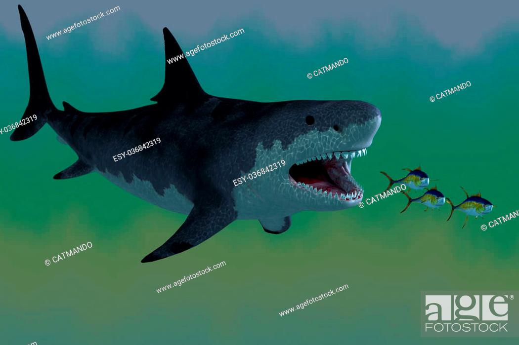 Stock Photo: Several Tuna fish try to escape from a huge Megalodon shark in prehistoric times.