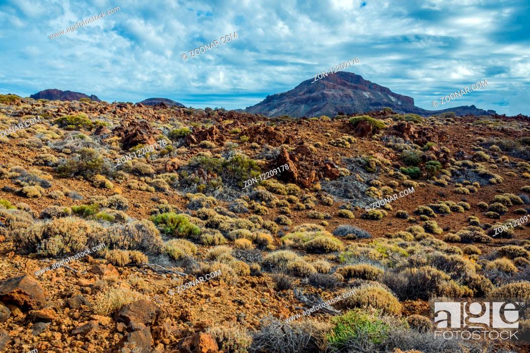 Stock Photo: Scenic, unusual and unique volcanic landscape around Teide mountain national park, Tenerife, Canary islands.