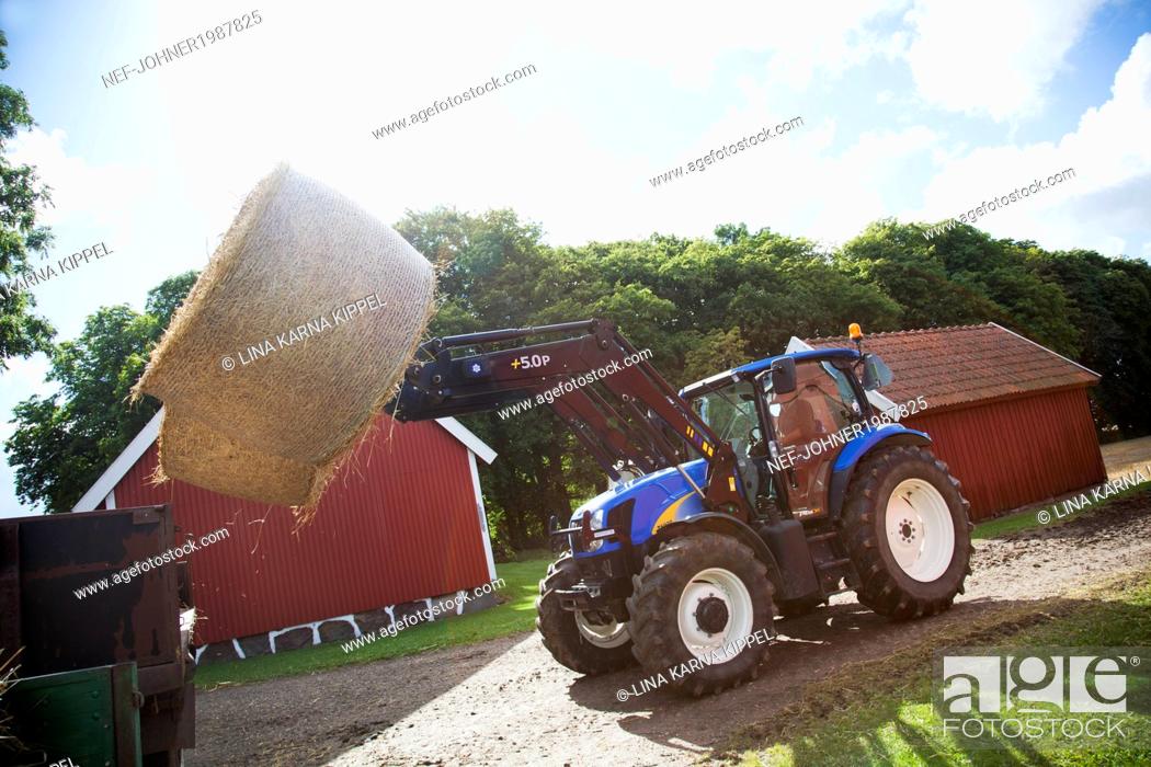 Stock Photo: Tractor carry bale of hay.