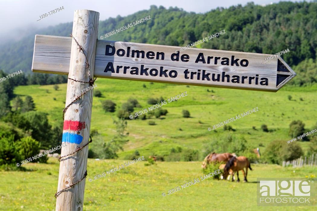 Stock Photo: Arrako dolmen sign, in Rincón de Belagua Isaba Roncal Valley Navarra Spain Europe.