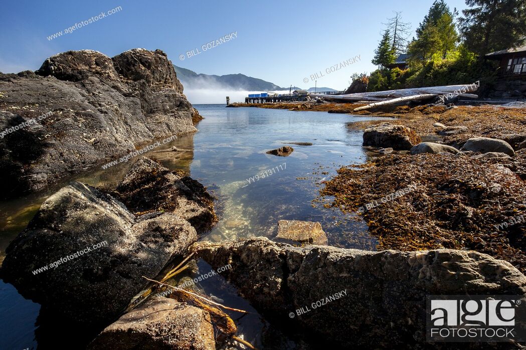 Stock Photo: Rocky coastline view at Port Renfrew, Vancouver Island, British Columbia, Canada.