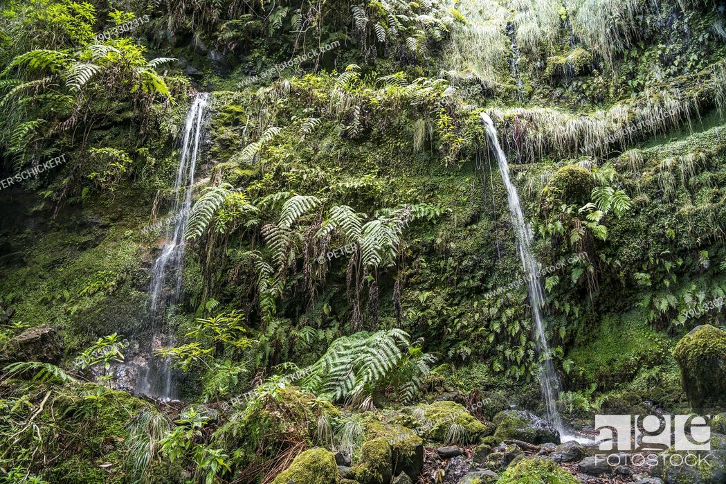 Stock Photo: waterfall at the hiking trail Levada do Caldeirao Verde, Madeira, Portugal, Europe.