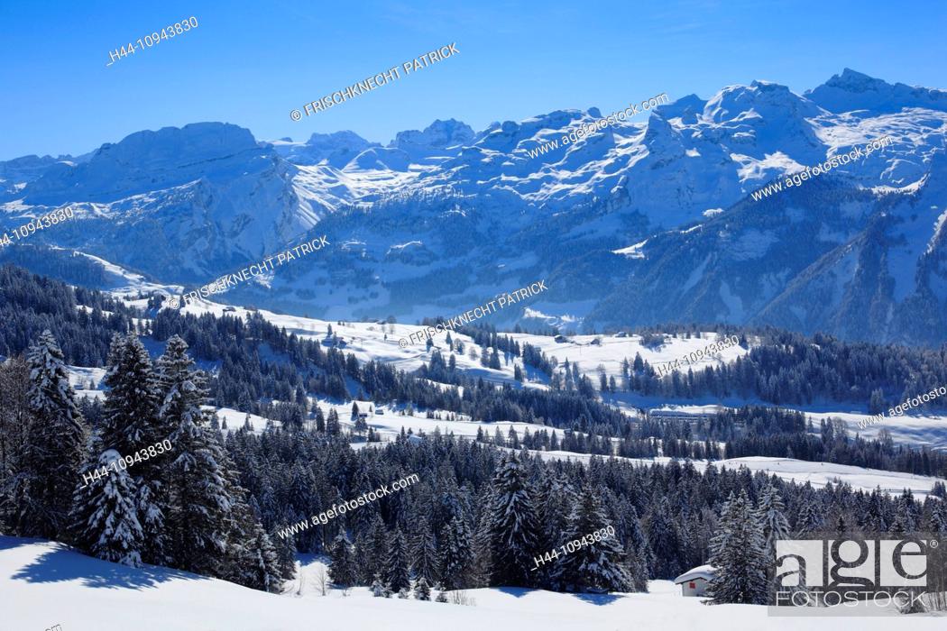 Stock Photo: Alps, Alpine wreath, Alpine, panorama, view, mountain, mountains, trees, spruce, spruces, mountains, summits, peaks, Central Switzerland, Internal Swiss Alps.