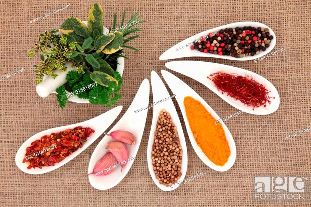 Stock Photo: Spice and Herb Selection.