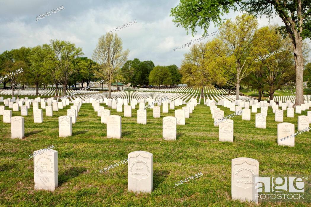 Stock Photo: Tombstones in a cemetery, Little Rock National Cemetery, Arkansas, USA.