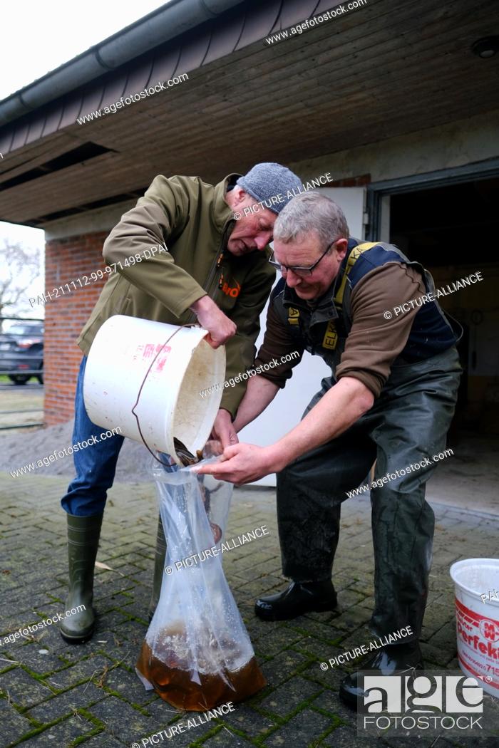 Stock Photo: 12 November 2021, Lower Saxony, Emden: Hilko Nieland (l), Managing Director of the District Fisheries Association for East Frisia.