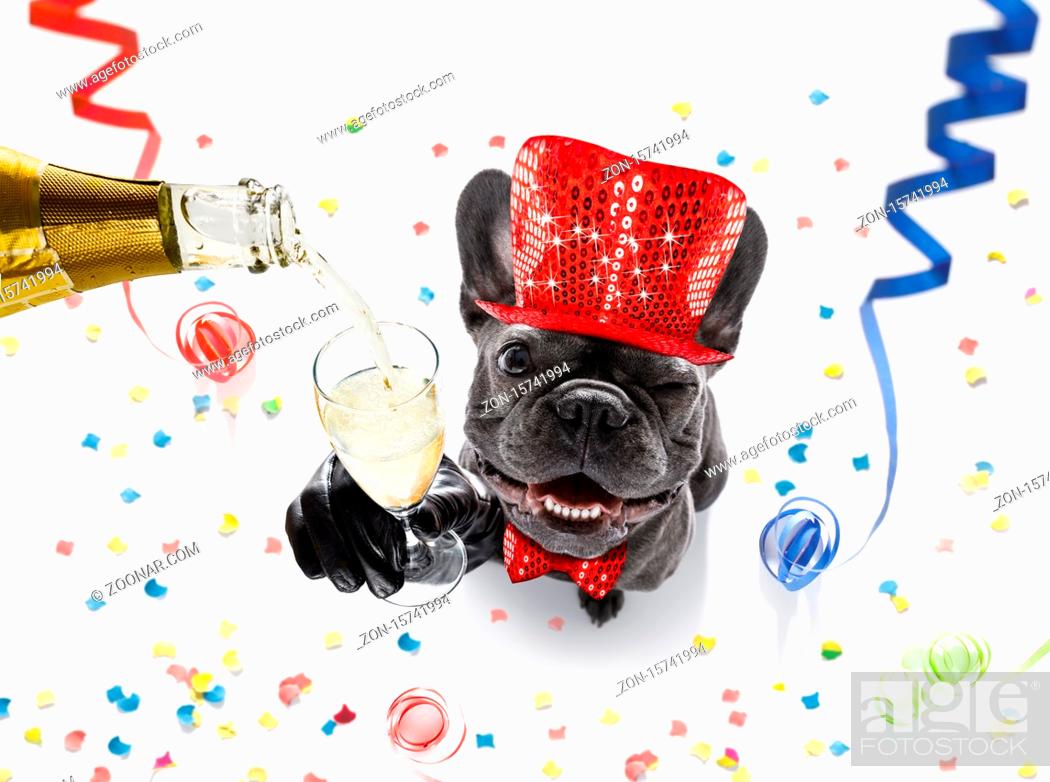 Imagen: french bulldog dog celebrating new years eve with owner and champagne glass isolated on serpentine streamers and confetti.